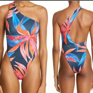 NEW Louisa Ballou Plunge One-Piece Swimsuit